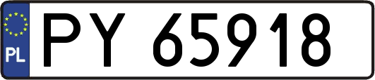 PY65918