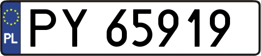 PY65919