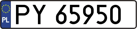 PY65950