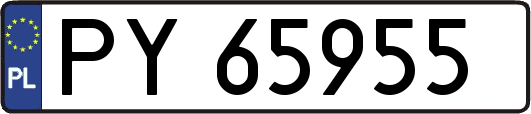 PY65955