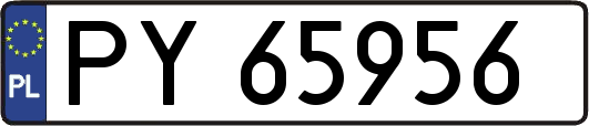 PY65956