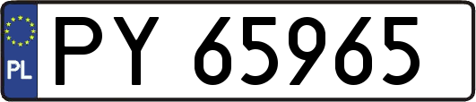 PY65965