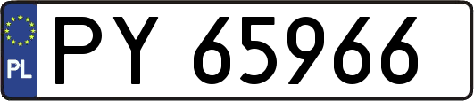 PY65966
