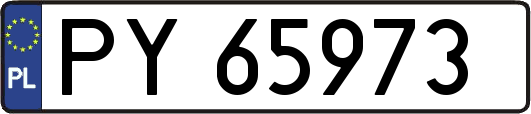 PY65973