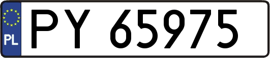 PY65975