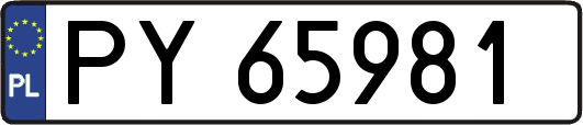 PY65981