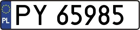 PY65985