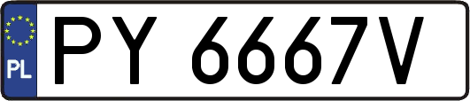 PY6667V