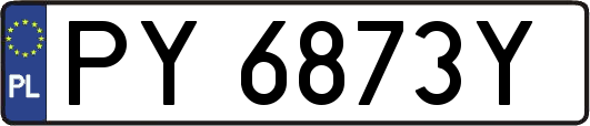 PY6873Y