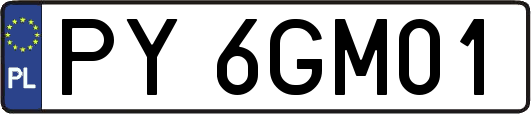 PY6GM01