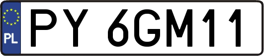 PY6GM11