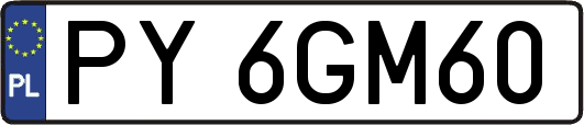 PY6GM60