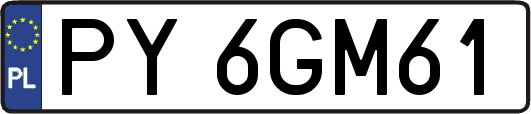 PY6GM61