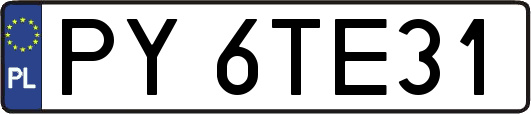 PY6TE31
