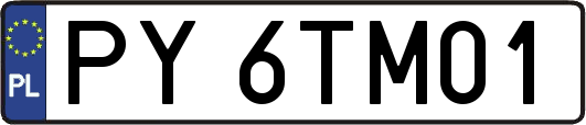 PY6TM01