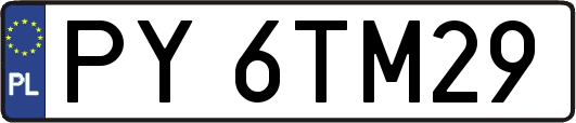 PY6TM29