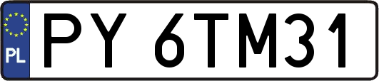 PY6TM31