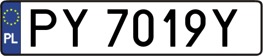 PY7019Y