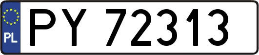 PY72313