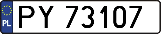 PY73107