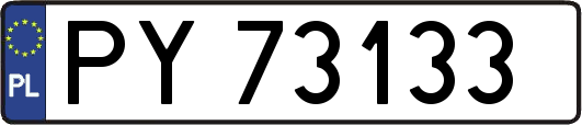 PY73133