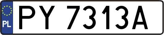 PY7313A