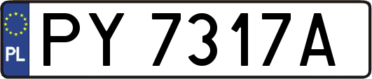 PY7317A