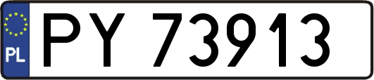 PY73913