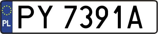 PY7391A