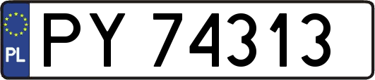 PY74313