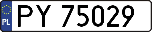 PY75029