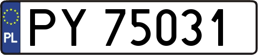 PY75031