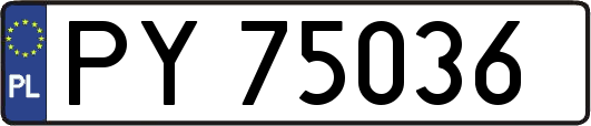 PY75036