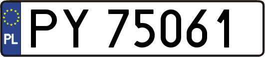 PY75061