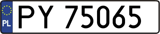 PY75065