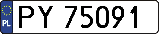 PY75091