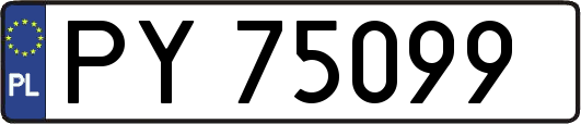 PY75099