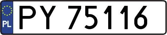 PY75116