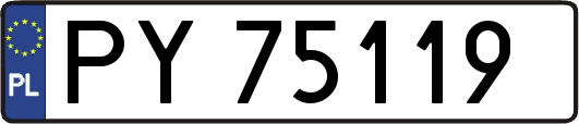 PY75119