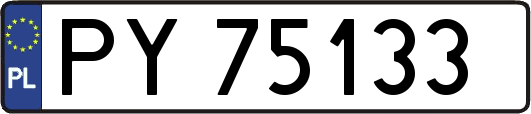 PY75133