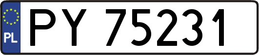 PY75231