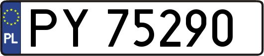 PY75290