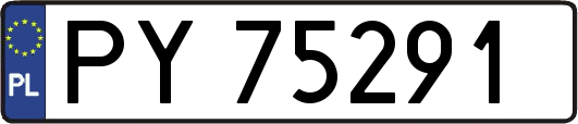 PY75291