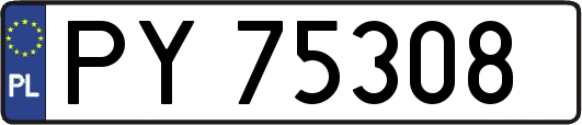 PY75308