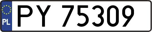 PY75309