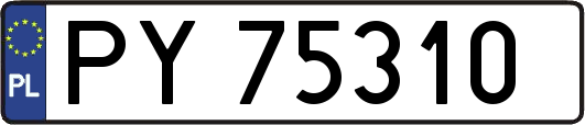 PY75310
