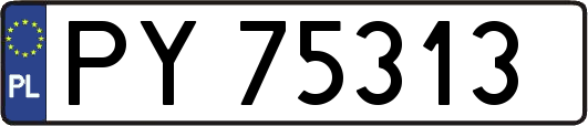 PY75313