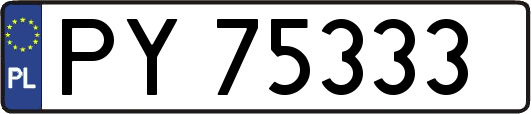 PY75333