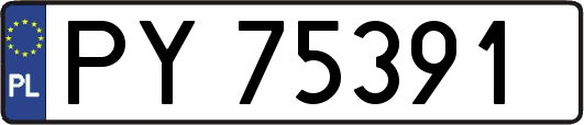 PY75391
