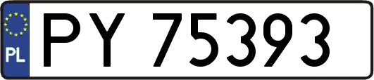 PY75393